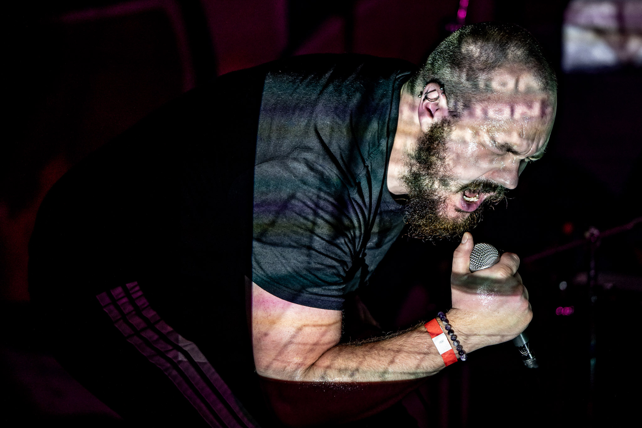 Fox The Paradox at DSGN CLLCTV 09-21-2025