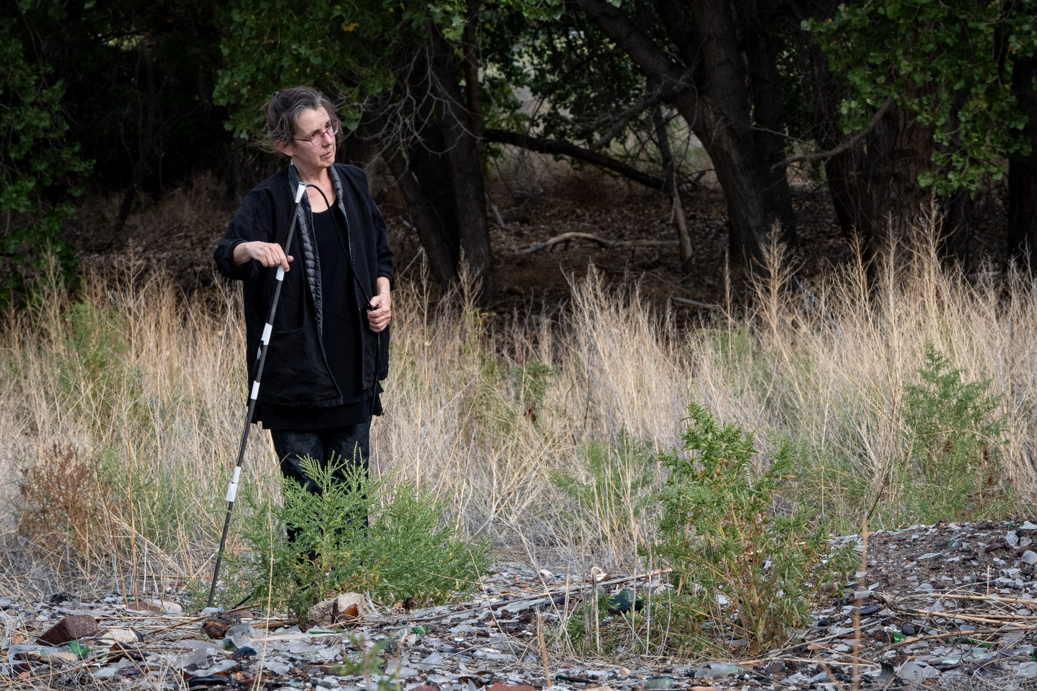 Tiguex, XIV - Glass Graveyard 09-27-2025
